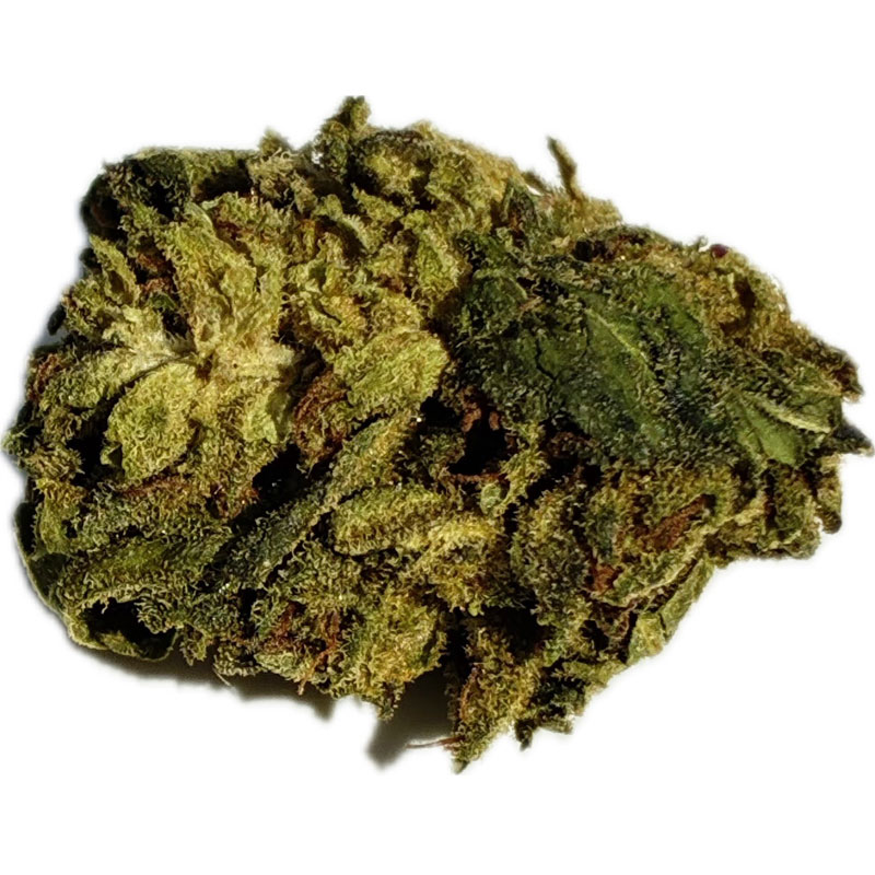 Fenocheese CBD Flower "Suver Haze" - Image 4