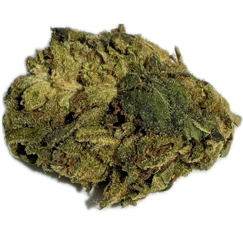 Fenocheese CBD Flower "Suver Haze" - Image 5