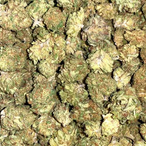 Fenocheese CBD Flower "Suver Haze" - Image 3