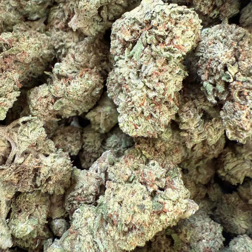 Hillbilly Crack THCa Flower - Image 5
